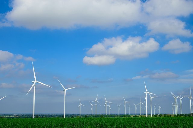 fields-of-wind-turbines-2707526_1280.jpg