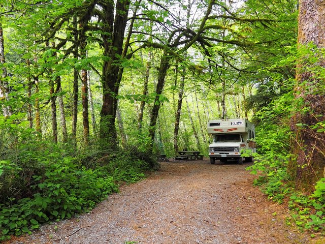 P4282367-vancouver-island-rv-camping-forest-1200.jpg