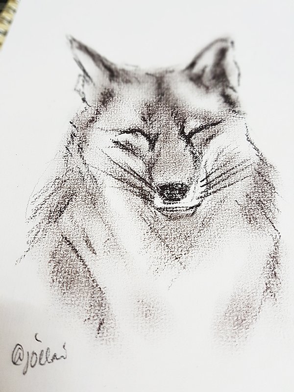 Smiling Wolf05.jpg