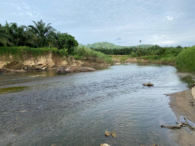 1000319161.jpg