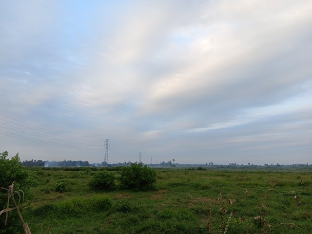 1000019131.jpg