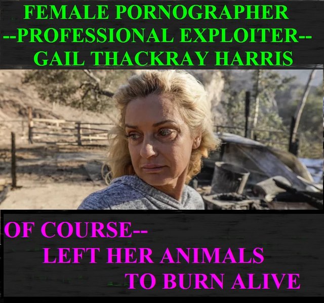 THACKRAY BURNED ALIVE MEME.jpg