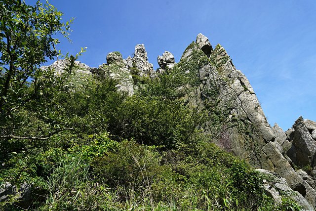b-DSC08316.JPG