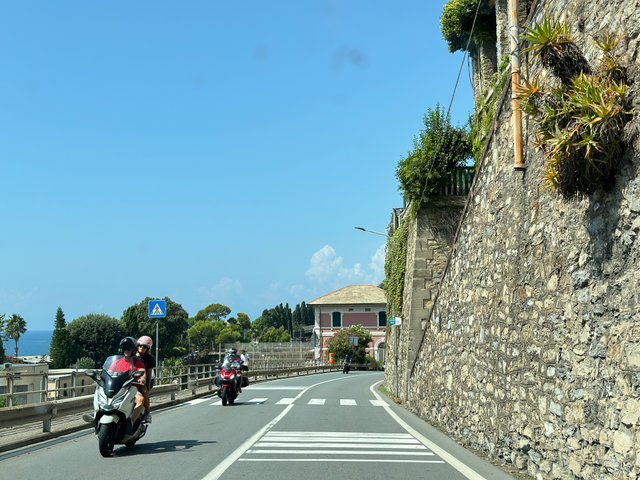 IMG_9797.jpeg