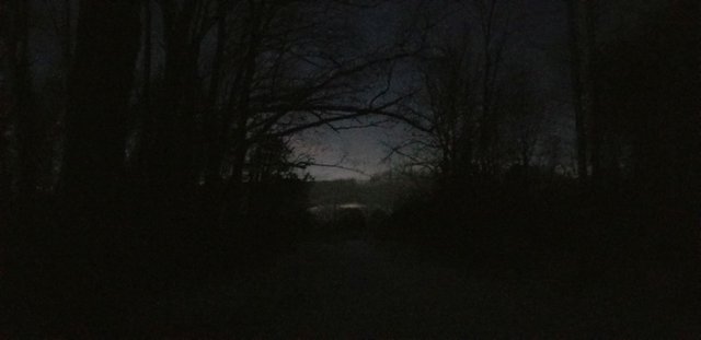 20180116_174719 - driveway looking toward house after  sunset in snow.jpg