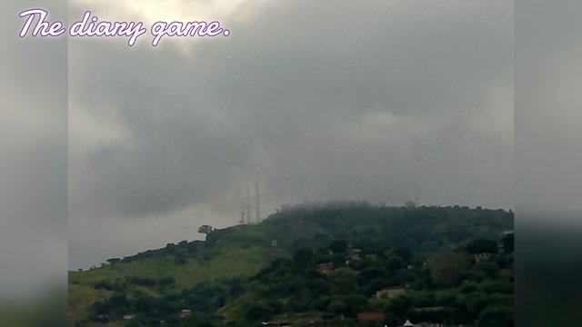 FotoGrid_20250824_185226766.jpg