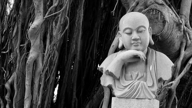 buddha-1177201_1920.jpg