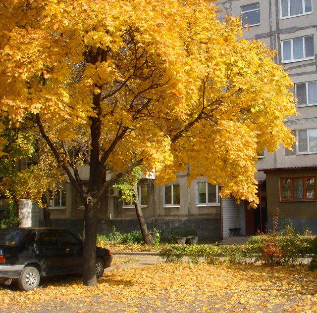 DSC03100.JPG