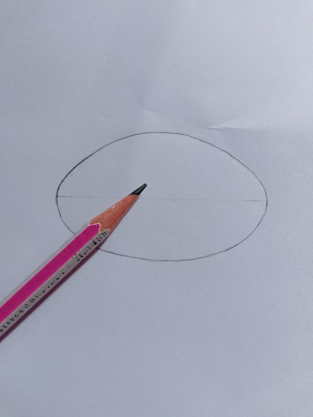 1000053238.jpg