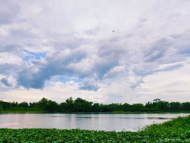 IMG_20250807_094941.jpg