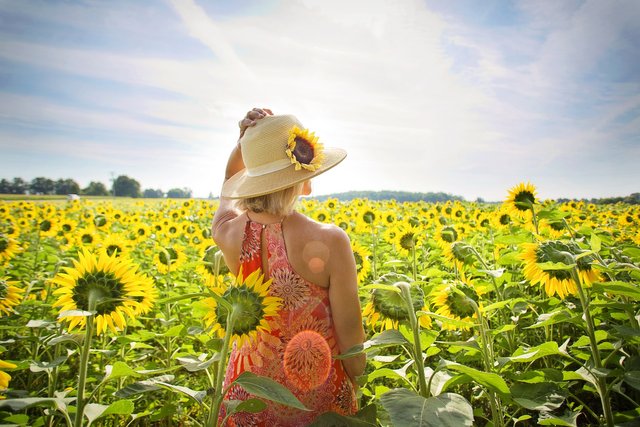 sunflowers-3640935_1920.jpg