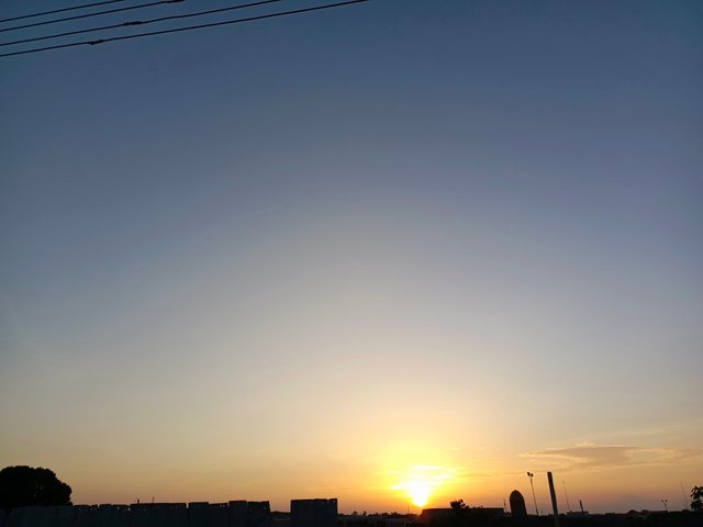 1000607826.jpg