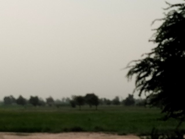 IMG20250806065738.jpg