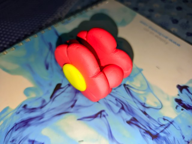 1000013560.jpg