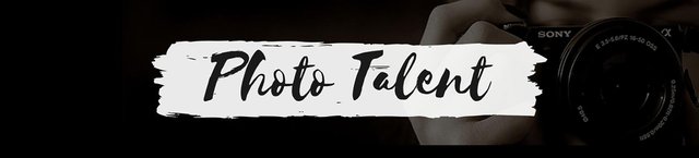 PhotoTalentBanner.jpg