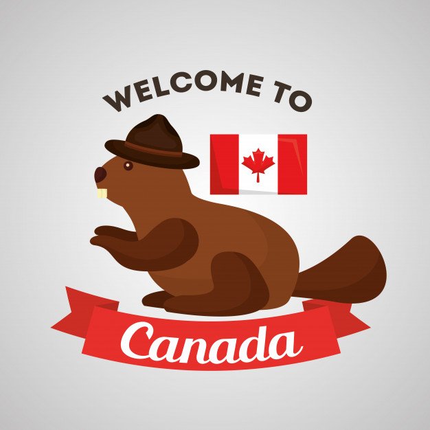 welcome-canada-beaver-with-hat-flag_24908-16207.jpg