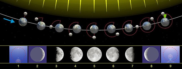 1024px-Moon_phases_00.jpg