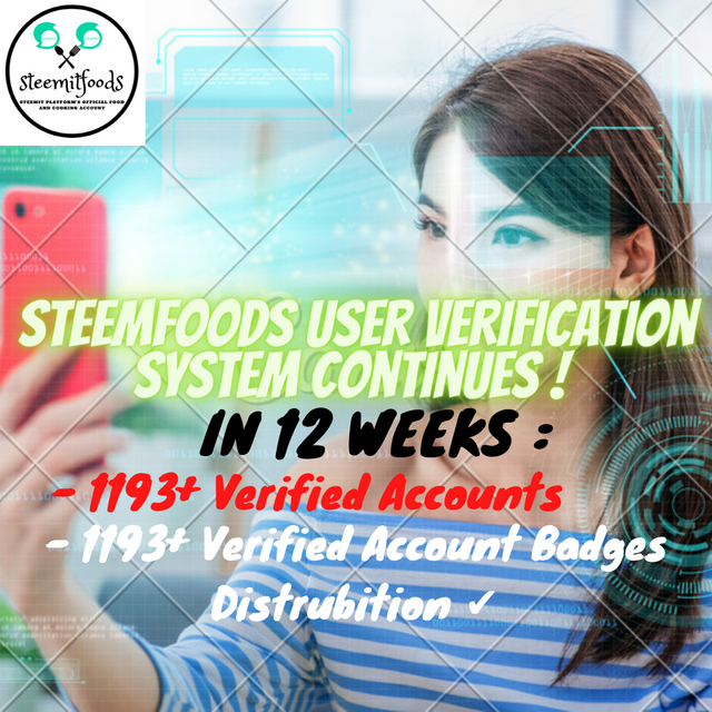 Verification System 12th Week.png