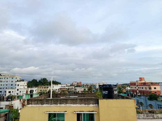 IMG_20250723_175937.jpg