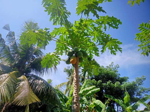 IMG20250818104818.jpg