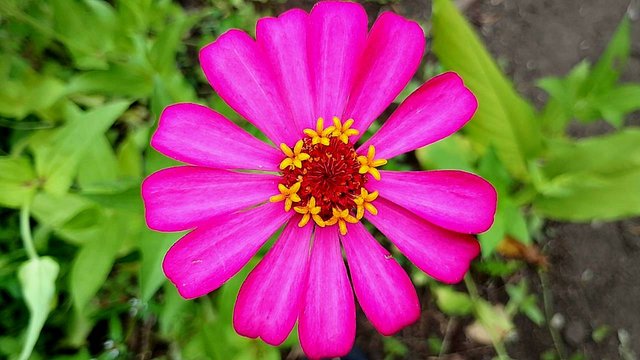 IMG_20250930_164140.jpg