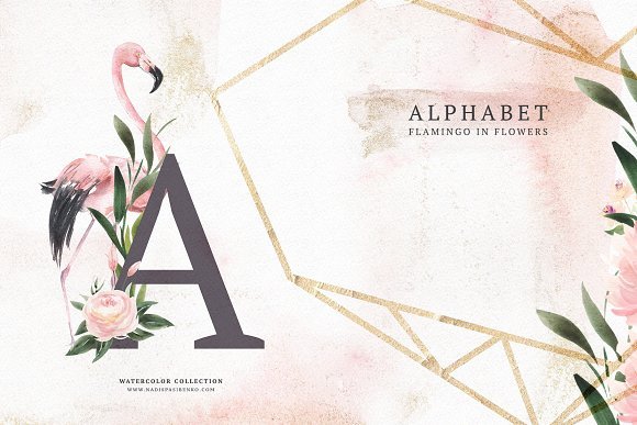 al_flamingo-in-flowers-.jpg