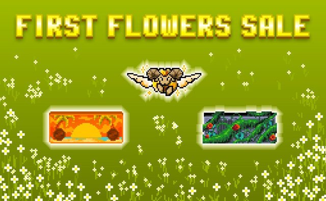 Weekly Offer: First Flowers Sale