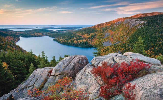 Acadia National Park.jpg