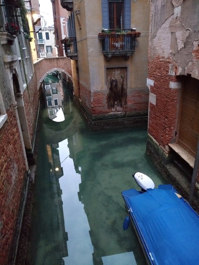 200316111015-venice-canals-cleaner.jpg