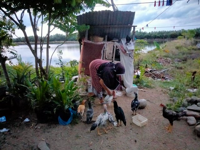 IMG20250722185720.jpg