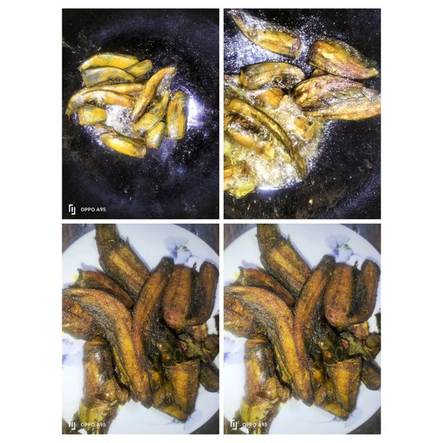 PhotoCollage_1747478519647.jpg