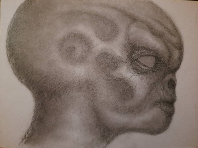 20250509_110634.jpg