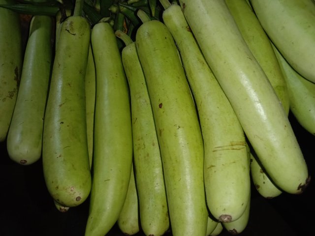 image (17).jpeg