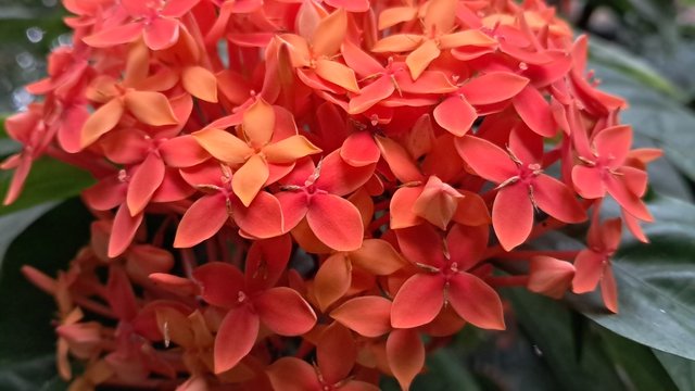 20250509_161402.jpg