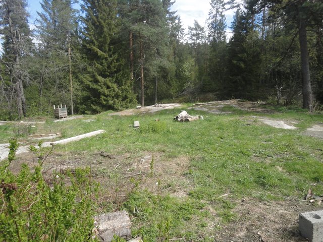 DSC03954.JPG