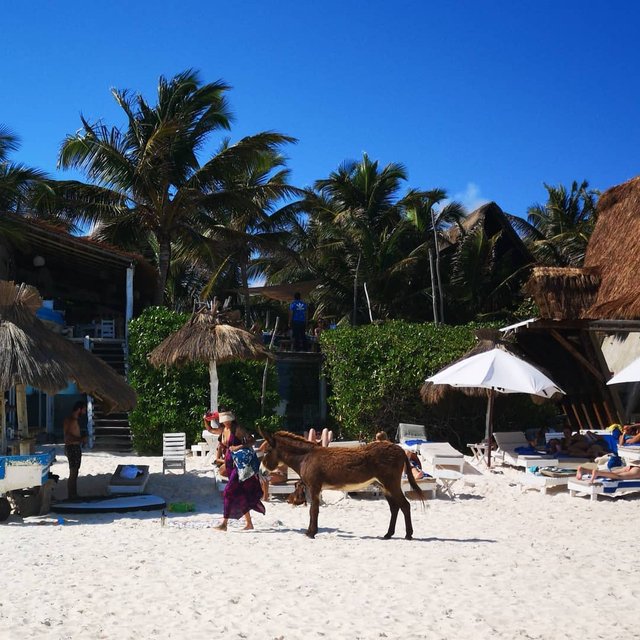 Tulum Beach 3.jpg