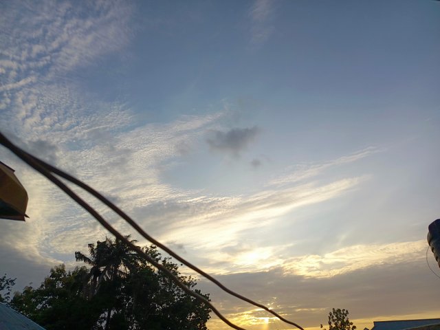 1000553507.jpg
