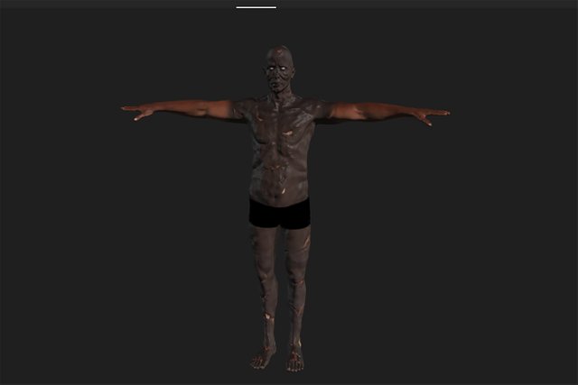 body.jpg