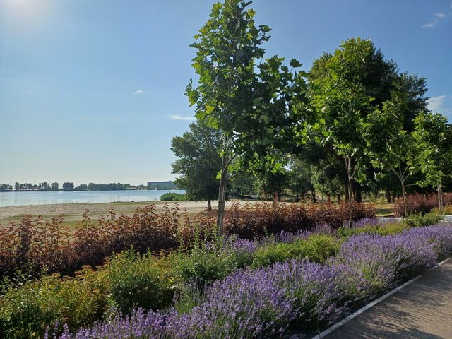 20250622_075817.jpg