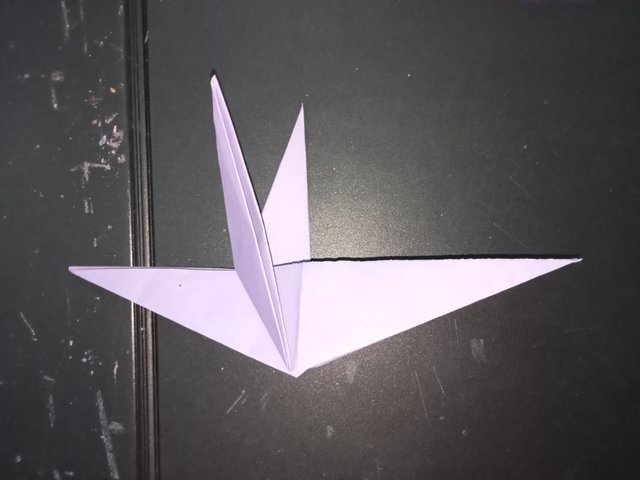 1000029465.jpg