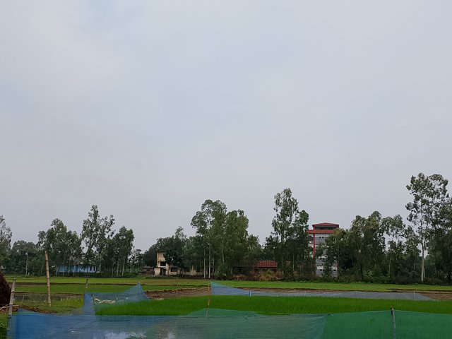 1000045306.jpg