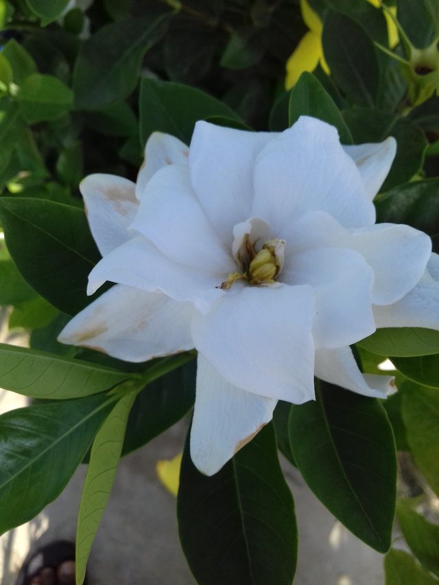 20190623_073317.jpg
