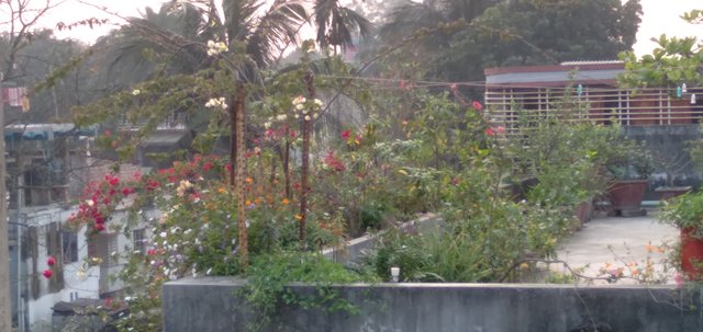 20250308_171645.jpg