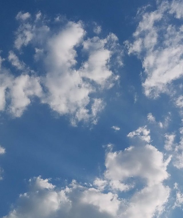 IMG_20250806_224339.jpg