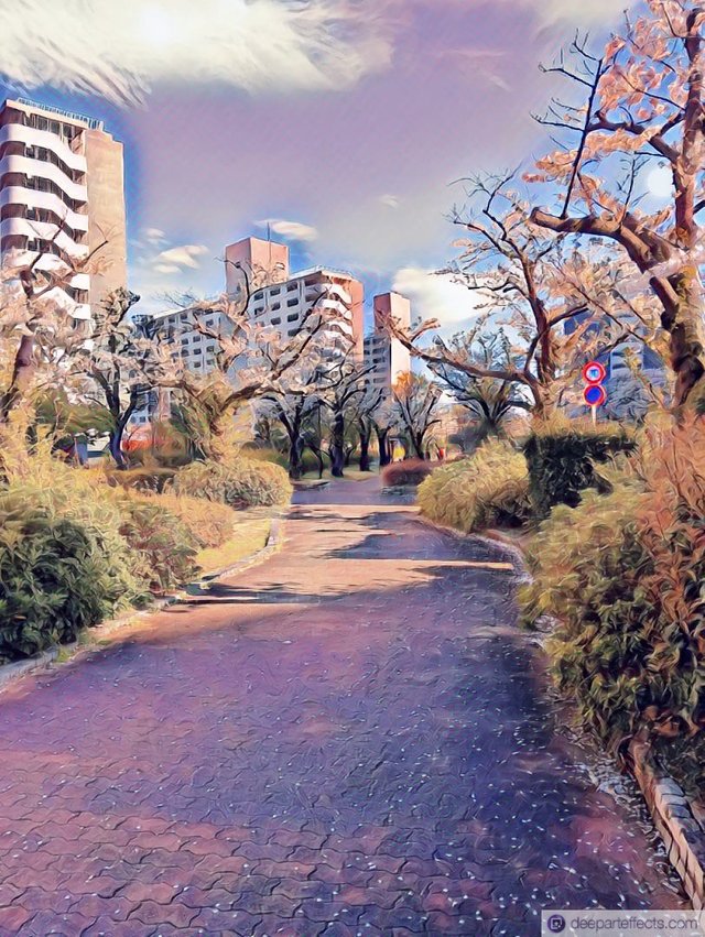 1000045562.jpg