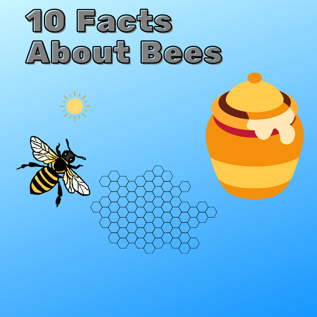 10 Facts About Bees.png