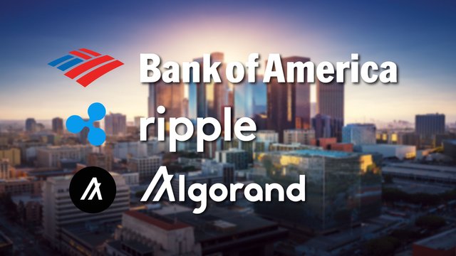 bank of america algorand ripple.jpg