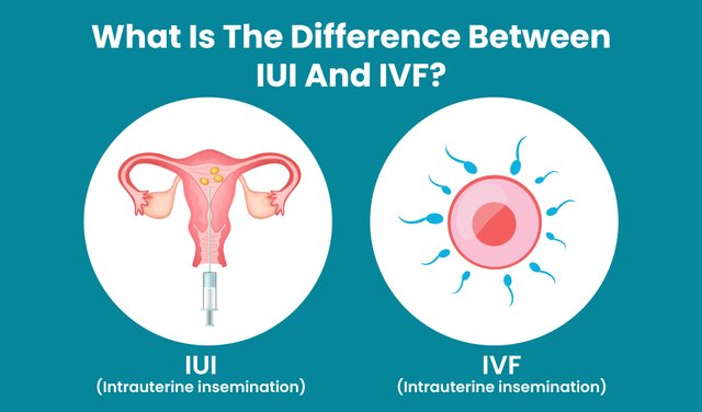 What is the difference between IUI and IVF-01.jpg