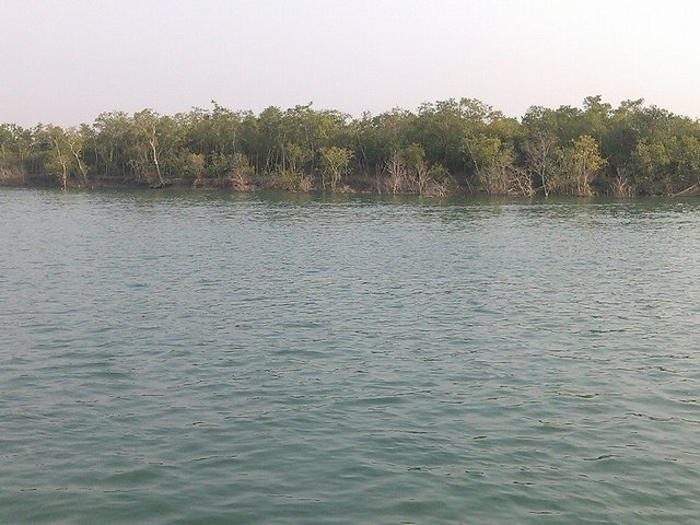 Sunderban25.jpg