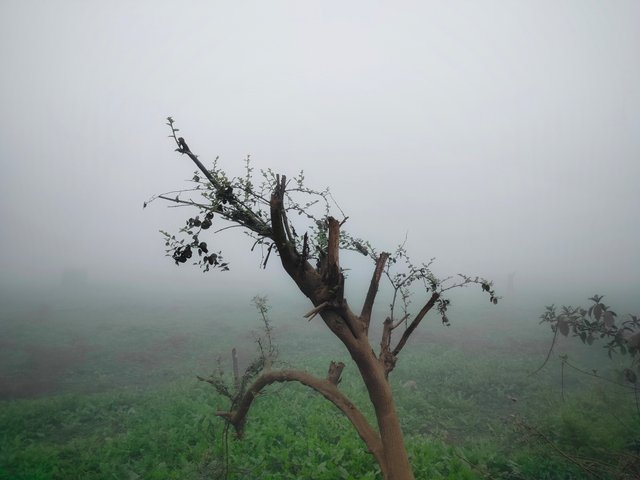 IMG20250202073637.jpg